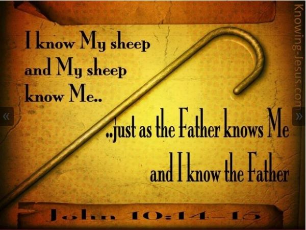 Written by the prophet-1